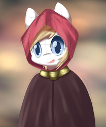 Size: 837x1000 | Tagged: safe, artist:aryanne, oc, oc only, oc:aryanne, pony, bipedal, cloak, clothes, collar, hood, little red riding hood, medieval, peasant, solo, stare, weird, wip