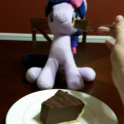 Size: 747x747 | Tagged: safe, twilight sparkle, g4, 4de, blurry, hand, irl, photo, pie, plushie, table, waifu dinner