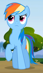 Size: 565x953 | Tagged: safe, screencap, rainbow dash, g4, rainbow falls, season 4, female, solo