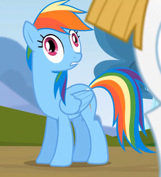 Size: 921x1013 | Tagged: safe, screencap, bulk biceps, rainbow dash, pegasus, pony, g4, rainbow falls, season 4, butt, derp, female, mare, plot