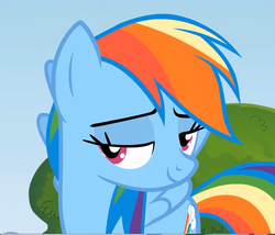 Size: 1260x1080 | Tagged: safe, screencap, rainbow dash, g4, rainbow falls, season 4, female, lidded eyes, solo