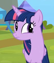 Size: 617x725 | Tagged: safe, screencap, twilight sparkle, alicorn, pony, g4, rainbow falls, season 4, female, mare, solo, twilight sparkle (alicorn)