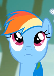 Size: 463x645 | Tagged: safe, screencap, rainbow dash, pegasus, pony, g4, rainbow falls, season 4, cute, female, mare, solo