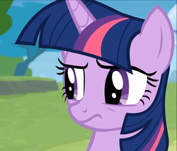 Size: 1251x1068 | Tagged: safe, screencap, twilight sparkle, alicorn, pony, g4, rainbow falls, season 4, female, reaction image, solo, twilight sparkle (alicorn)