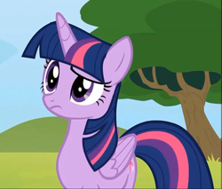 Size: 729x621 | Tagged: safe, screencap, twilight sparkle, alicorn, pony, g4, rainbow falls, season 4, female, folded wings, mare, solo, twilight sparkle (alicorn), wings