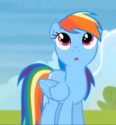 Size: 633x685 | Tagged: safe, screencap, rainbow dash, pony, g4, rainbow falls, season 4, :o, cute, female, looking up, solo