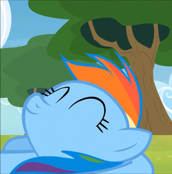 Size: 1062x1080 | Tagged: safe, screencap, rainbow dash, g4, rainbow falls, season 4, female, solo