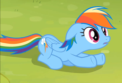 Size: 1224x837 | Tagged: safe, screencap, rainbow dash, pony, g4, rainbow falls, season 4, female, solo