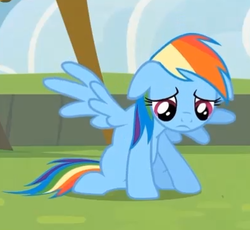 Size: 395x363 | Tagged: safe, screencap, rainbow dash, pony, g4, rainbow falls, season 4, female, sad, solo