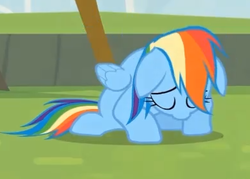 Size: 389x279 | Tagged: safe, screencap, rainbow dash, g4, rainbow falls, season 4, female, sad, solo