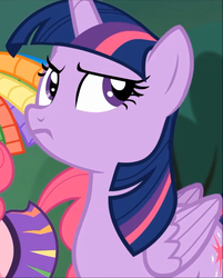 Size: 867x1079 | Tagged: safe, screencap, pinkie pie, twilight sparkle, alicorn, pony, g4, rainbow falls, season 4, female, mare, offscreen character, solo focus, twilight sparkle (alicorn)