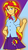 Size: 468x850 | Tagged: safe, artist:combatkaiser, sunset shimmer, twilight sparkle, equestria girls, g4, my little pony equestria girls: rainbow rocks, clothes swap, costume swap