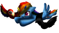 Size: 1024x576 | Tagged: safe, artist:lupiarts, rainbow dash, bird, parrot, pegasus, pony, g4, flying, scared