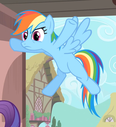 Size: 871x953 | Tagged: safe, screencap, rainbow dash, rarity, pony, g4, three's a crowd