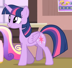 Size: 633x603 | Tagged: safe, screencap, princess cadance, twilight sparkle, alicorn, pony, g4, three's a crowd, female, folded wings, mare, solo, twilight sparkle (alicorn), wings