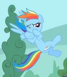 Size: 359x409 | Tagged: safe, screencap, rainbow dash, pony, g4, my little pony: friendship is magic, three's a crowd, butt, female, flying, mare, plot, solo