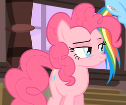 Size: 775x649 | Tagged: safe, screencap, pinkie pie, rainbow dash, earth pony, pegasus, pony, g4, three's a crowd, animation error, female, mare, offscreen character, pinkie pie is not amused, solo focus, unamused, unimpressed