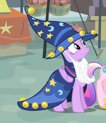 Size: 421x487 | Tagged: safe, screencap, princess cadance, twilight sparkle, alicorn, pony, g4, three's a crowd, cropped, female, mare, solo, star swirl the bearded costume, twilight sparkle (alicorn)