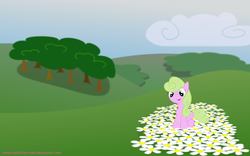 Size: 2560x1600 | Tagged: safe, artist:ambrosebuttercrust, daisy, flower wishes, g4, female, filly, flower, solo, younger