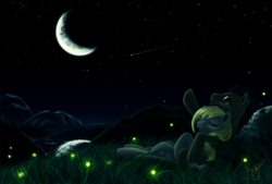 Size: 3000x2022 | Tagged: safe, artist:alyxsp, derpy hooves, doctor whooves, time turner, firefly (insect), pegasus, pony, cuddling, doctorderpy, eyes closed, female, grass, lake, male, mare, moon, night, on back, pointing, reflection, shipping, shooting star, snuggling, stars, straight