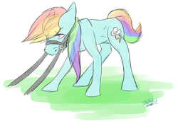 Size: 1240x849 | Tagged: safe, artist:silversprinkles, rainbow dash, g4, bridle, female, reins, solo, wingless