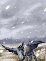 Size: 1600x2133 | Tagged: safe, artist:iceminth, oc, oc only, pegasus, pony, blank flank, snow, snowfall, solo