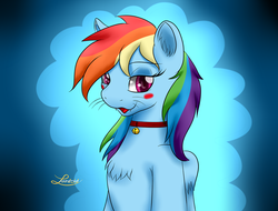 Size: 1280x973 | Tagged: safe, artist:lordzid, rainbow dash, cat, g4, bell, bell collar, blushing, cat bell, collar, fangs, female, rainbow cat, solo, species swap, whiskers