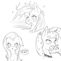 Size: 1000x1000 | Tagged: safe, artist:aerolp, fluttershy, princess luna, g4, doodle, monochrome