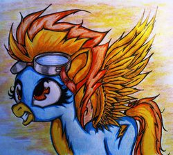 Size: 1600x1425 | Tagged: safe, artist:tomek2289, spitfire, g4, female, goggles, solo, traditional art, wonderbolts uniform