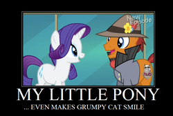 Size: 794x535 | Tagged: safe, artist:peternators, edit, edited screencap, screencap, rarity, sourpuss, g4, rarity takes manehattan, all new, grumpy cat, hub logo, meme, motivational poster, text