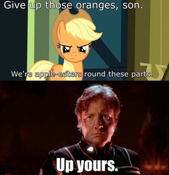 Size: 1022x1059 | Tagged: safe, applejack, g4, apple, apples and oranges, babylon 5, crossover, image macro, john sheridan, meme, orange, photoshop