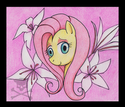 Size: 1000x856 | Tagged: safe, artist:evilfurryskull, fluttershy, g4, female, solo, traditional art