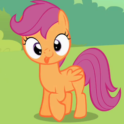 Size: 400x400 | Tagged: safe, screencap, scootaloo, pegasus, pony, g4, lesson zero, cropped, cute, cutealoo, derp, female, filly, silly, silly pony, solo, tongue out