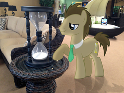 Size: 3264x2448 | Tagged: safe, artist:greenmachine987, artist:nickman983, doctor whooves, time turner, earth pony, pony, g4, couch, furniture store, high res, hourglass, irl, lamp, male, photo, pillow, ponies in real life, shadow, sign, solo, stallion, table, vector