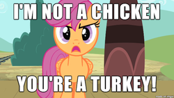 Size: 610x343 | Tagged: safe, scootaloo, g4, image macro, meme, public service announcement, scootachicken, scootaloo is not amused, teenage mutant ninja turtles, truth, youtube link