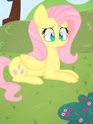 Size: 1000x1333 | Tagged: safe, artist:higglytownhero, fluttershy, g4, female, sad, solo