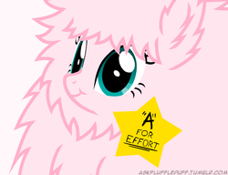 Size: 650x500 | Tagged: safe, artist:mixermike622, oc, oc only, oc:fluffle puff, earth pony, pony, g4, :t, female, gold star, mare, reaction image, simple background, solo, stars, white background, you tried