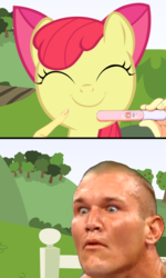 Size: 600x997 | Tagged: safe, apple bloom, earth pony, human, pony, g4, /mlp/, comic, female, filly, male, meme, pregnancy test, pregnancy test meme, randy orton, rko outta nowhere, wwe