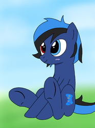 Size: 446x600 | Tagged: safe, artist:mansun, oc, oc only, oc:crawford, heterochromia, pixiv, sitting, solo, underhoof