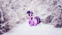 Size: 1920x1080 | Tagged: safe, artist:dj-applej-sound, artist:xpesifeindx, twilight sparkle, g4, irl, path, photo, ponies in real life, snow, solo, tree, vector, wallpaper, winter