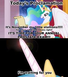 Size: 1021x1149 | Tagged: safe, princess celestia, princess molestia, g4, celestia's proclamation, exploitable meme, implied prostate exam, meme, movember, no shave november, prostate cancer