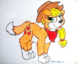 Size: 1398x1146 | Tagged: safe, artist:silversimba01, applejack, dog, g4, appledog, bandana, chest fluff, coat markings, dogified, eye clipping through hair, female, markings, open mouth, pale belly, socks (coat markings), solo, species swap, traditional art