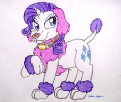 Size: 1320x1110 | Tagged: safe, artist:silversimba01, rarity, dog, poodle, g4, collar, dogified, female, raripoodle, solo, species swap, traditional art