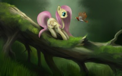 Size: 3200x2000 | Tagged: safe, artist:alicekvartersson, fluttershy, bird, pegasus, pony, g4, female, high res, moss, solo