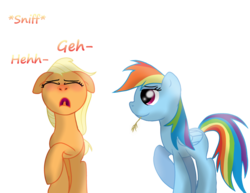 Size: 2874x2222 | Tagged: safe, artist:daisy meadows, applejack, rainbow dash, earth pony, pegasus, pony, g4, allergies, duo, duo female, female, hay, high res, mare, nostril flare, pre sneeze, simple background, sneezing, transparent background