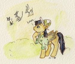 Size: 800x684 | Tagged: safe, artist:twinklestahh, daring do, g4, female, solo, traditional art