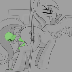 Size: 1280x1280 | Tagged: safe, artist:askcanadash, rainbow dash, oc, oc:anon, human, pony, g4, ask, butt, butt pushing, butt touch, buttstuck, door, giant pony, grayscale, macro, monochrome, plot, pushing, rump push, scrunchy face, struggling, stuck, the ass is monstrously oversized for tight entrance, tumblr, wingboner