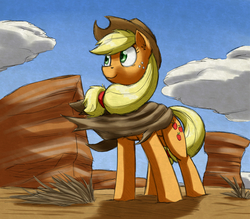 Size: 4065x3569 | Tagged: safe, artist:otakuap, applejack, g4, clothes, cloud, cloudy, colored pupils, desert, ear fluff, female, looking away, poncho, shadow, solo, wind, windswept mane