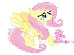 Size: 1024x768 | Tagged: safe, artist:sakurafly101, fluttershy, g4, chest fluff, female, simple background, solo