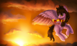 Size: 1919x1144 | Tagged: safe, artist:9de-light6, oc, oc only, pegasus, pony